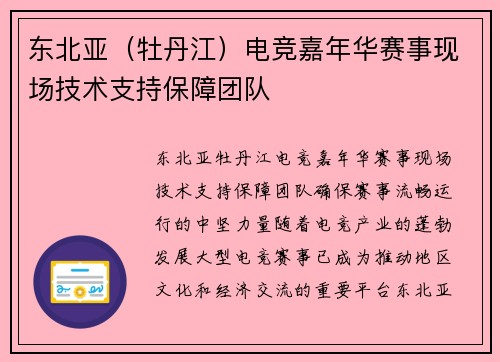 东北亚（牡丹江）电竞嘉年华赛事现场技术支持保障团队